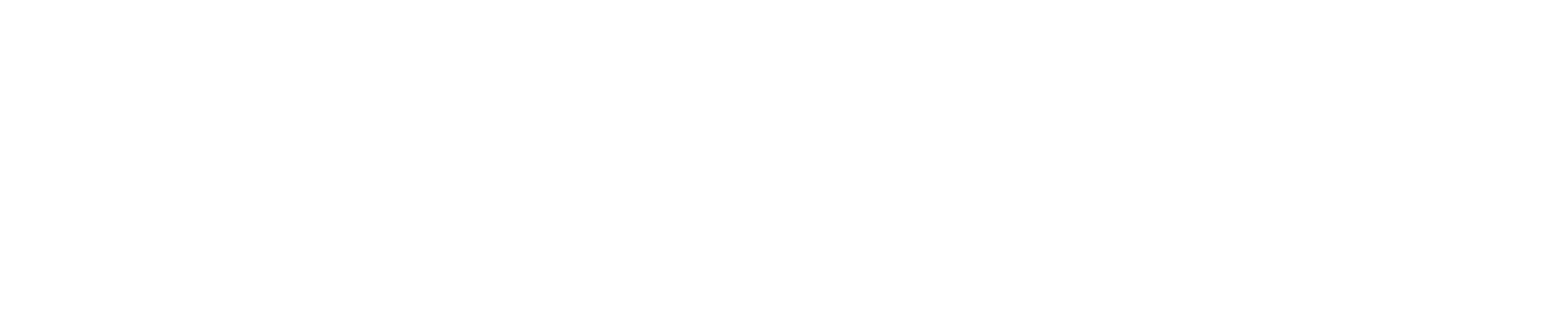 Ingram Micro